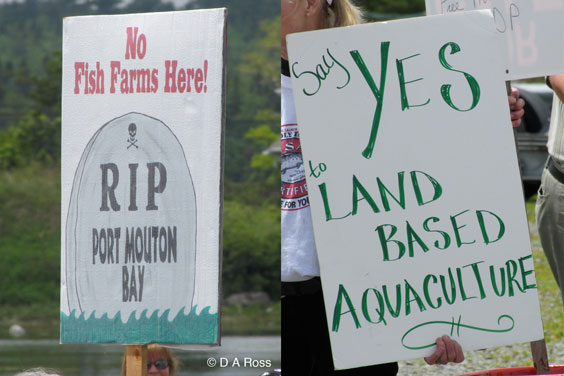 fpmb-rally-rip-sign-daross